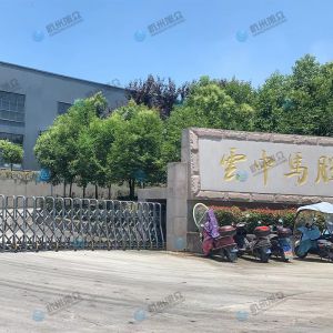 松陽的客戶，調試30型包子機完成！